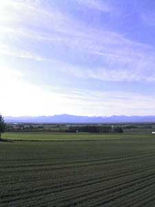 a0050669_052521.jpg
