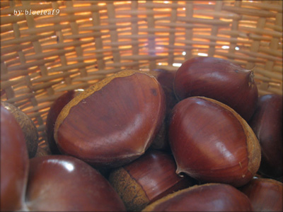 c0027369_23333086.jpg