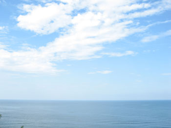 d0050871_1015396.jpg