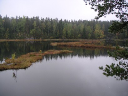 d0092973_19564323.jpg