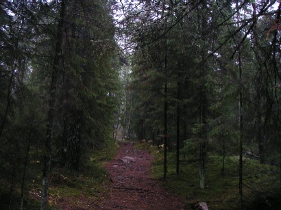 d0092973_200549.jpg