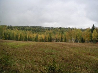 d0092973_2012774.jpg
