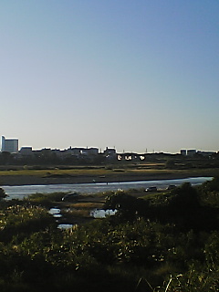 a0072874_12352628.jpg