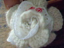 d0069575_16342846.jpg