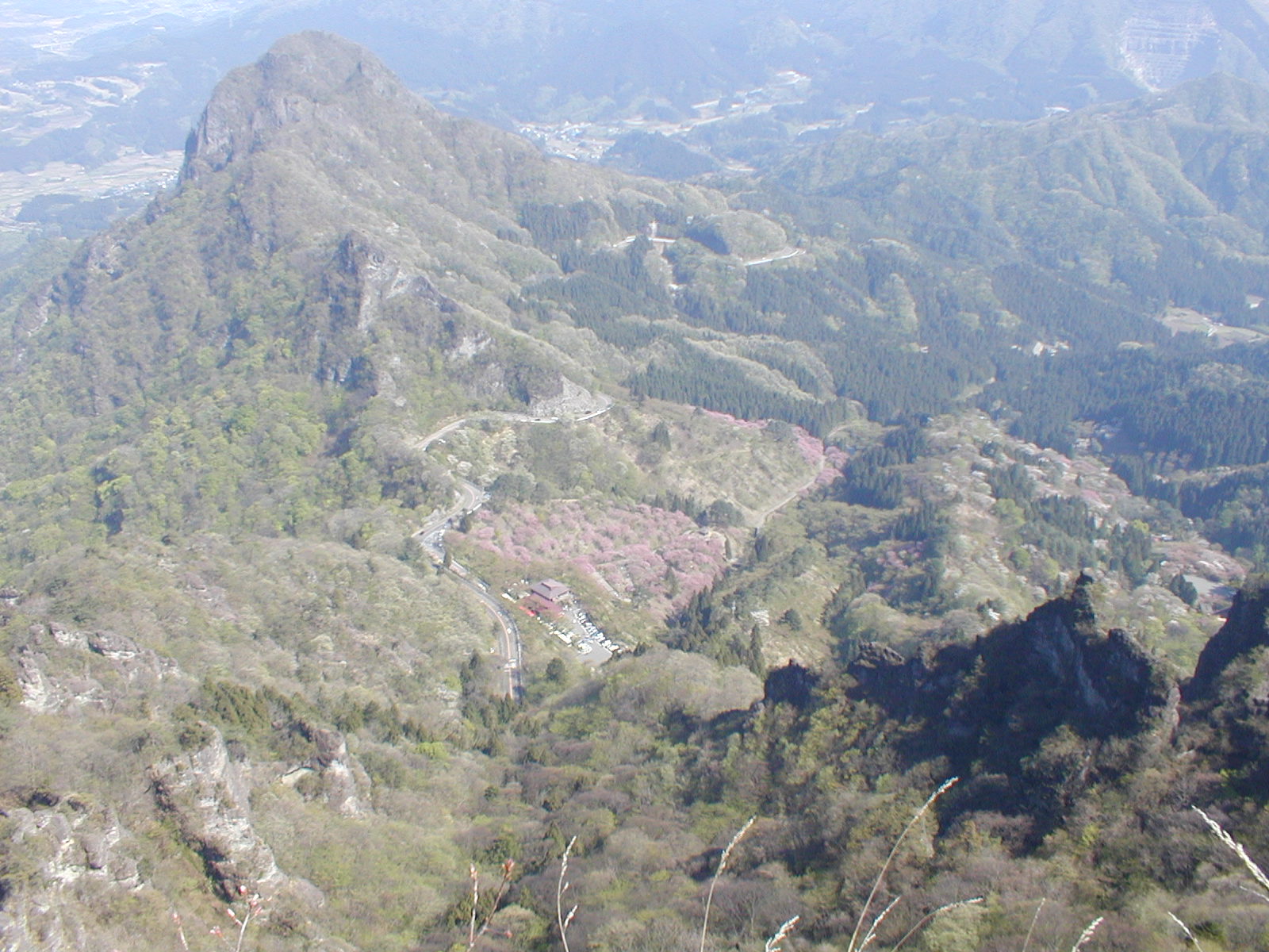 a0094280_1637477.jpg