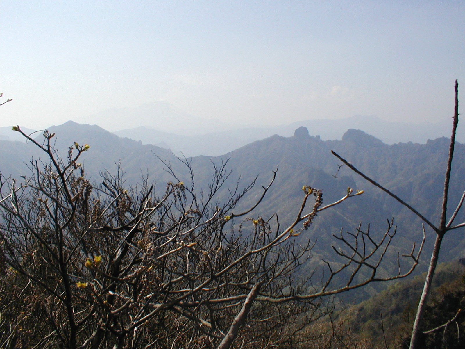 a0094280_16391222.jpg