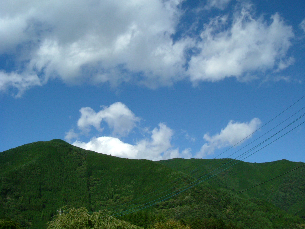 a0032384_1139123.jpg