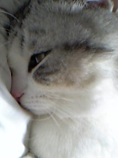 c0052787_0463867.jpg