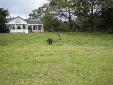 c0062287_2114539.jpg