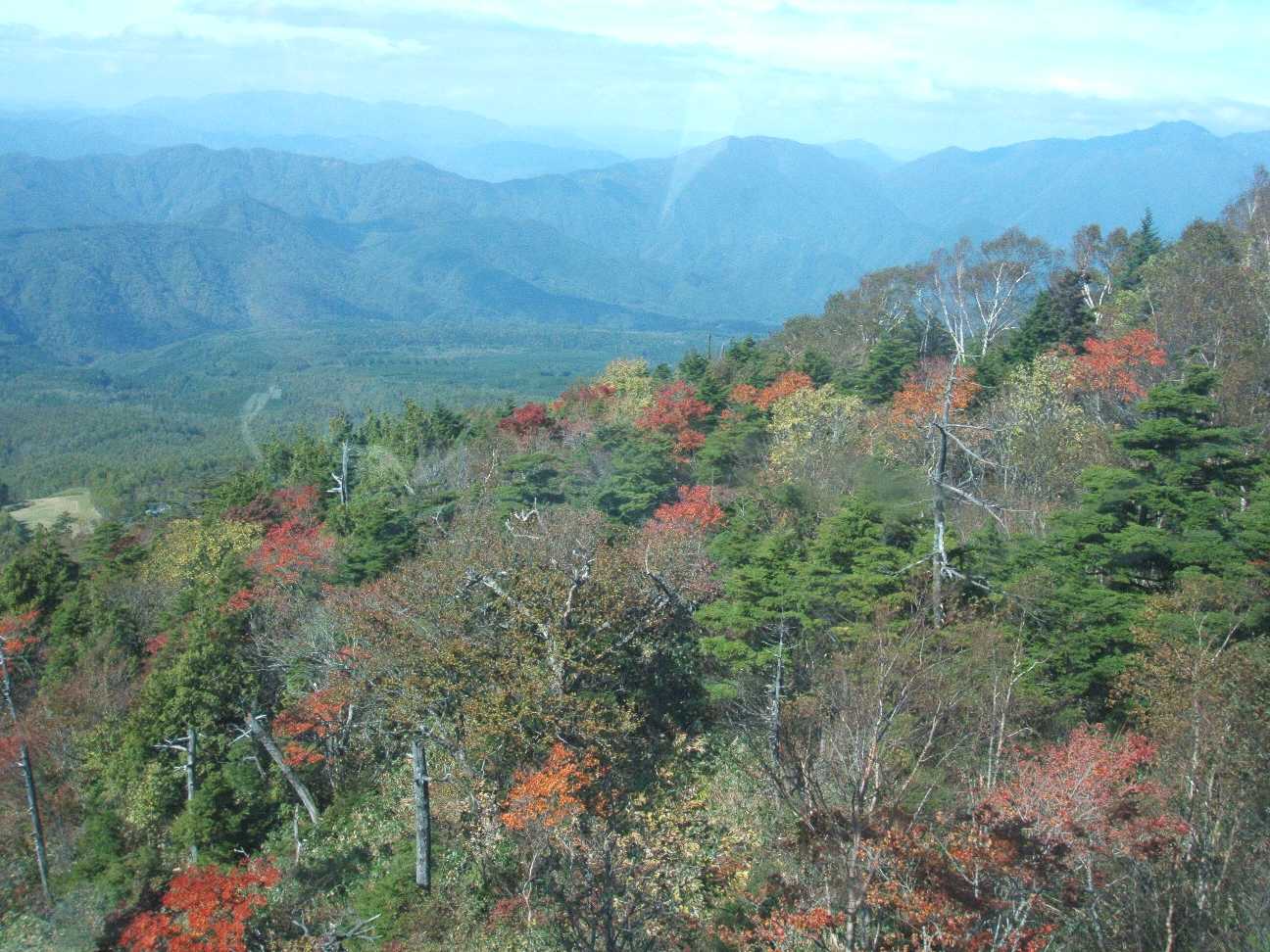 f0079190_11352435.jpg