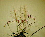 f0005891_19164069.jpg