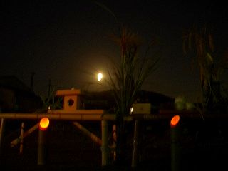 c0033992_11331092.jpg
