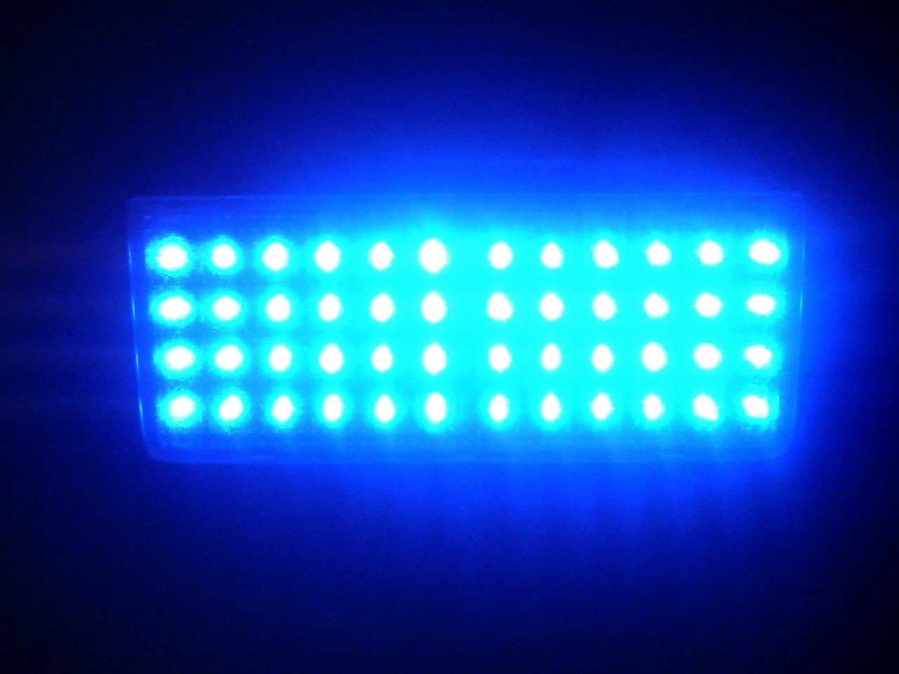 a0074195_044197.jpg