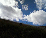 d0021996_21572153.jpg