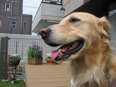 e0014801_2075931.jpg