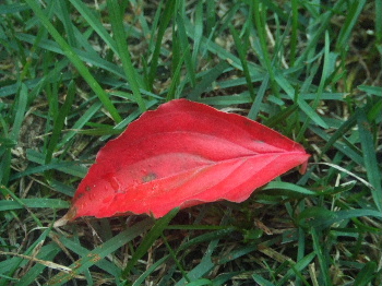 f0041606_19333333.jpg