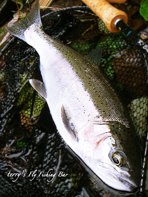 e0009009_0272925.jpg