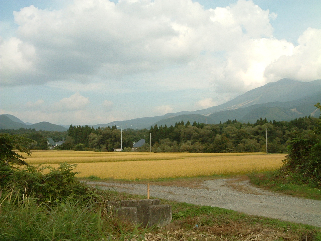 e0100210_1571967.jpg