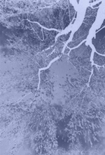 a0055913_0144224.gif