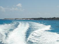 f0022024_20374512.jpg