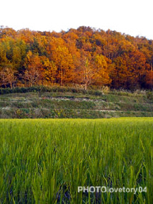 b0108732_0114339.jpg
