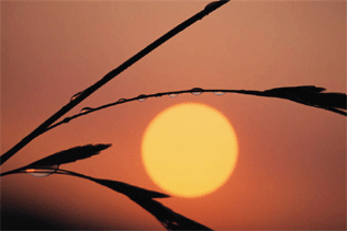 e0013640_663363.gif