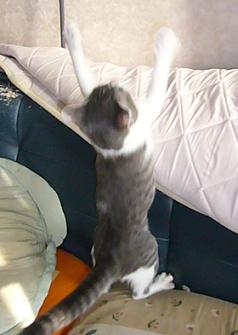 f0002743_15225276.jpg