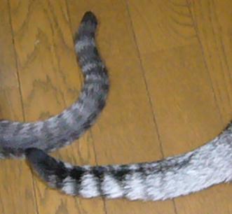 f0002743_15281370.jpg