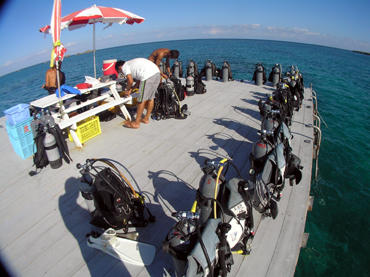 d0065247_20494160.jpg