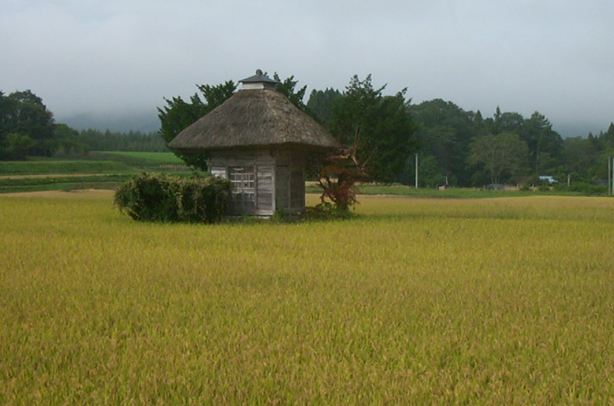a0029157_13202545.jpg