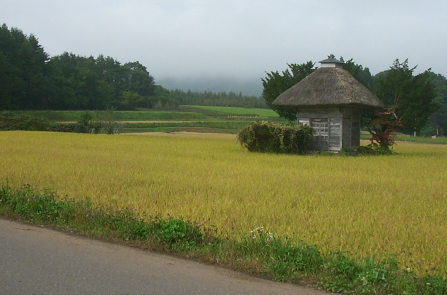 a0029157_13204411.jpg