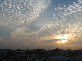 d0034659_12564150.jpg