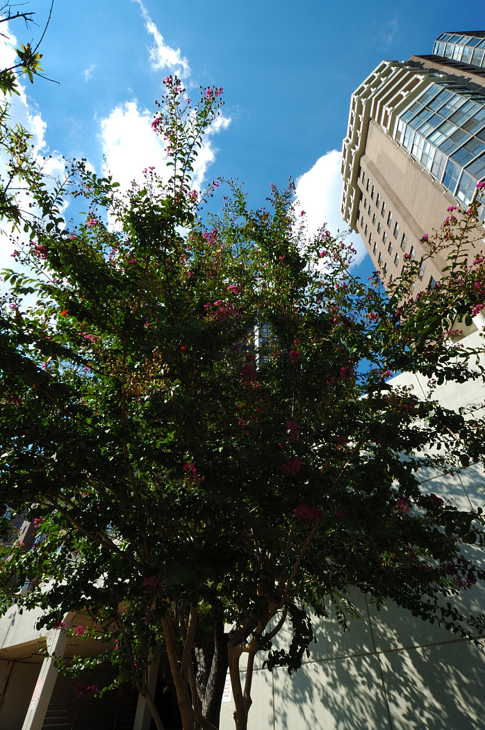 c0084666_13383396.jpg