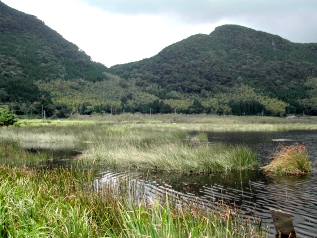 b0038668_23224891.jpg