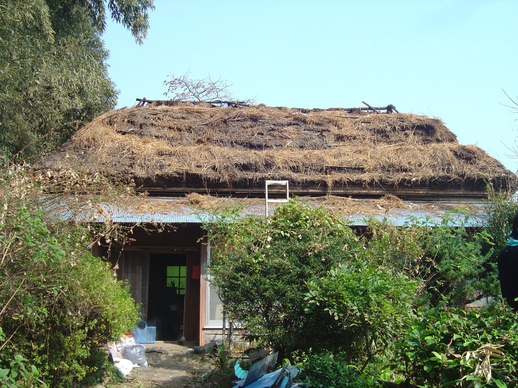 f0068368_22342468.jpg