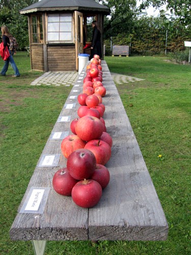 f0023570_2325337.jpg