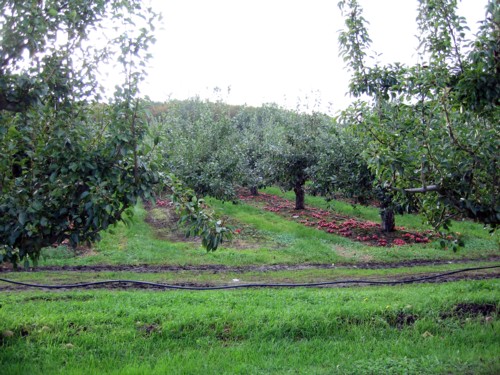 f0023570_23322034.jpg