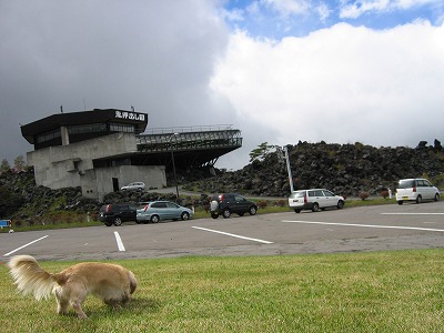 a0038882_1013466.jpg