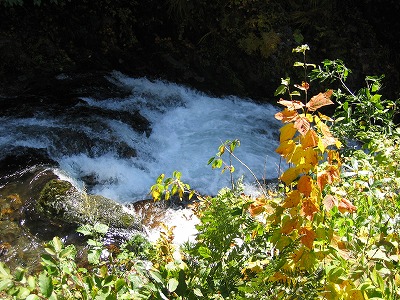a0038882_11451893.jpg