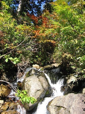 a0038882_11454581.jpg