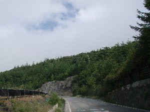 b0074992_21112335.jpg