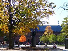 e0083693_156353.jpg