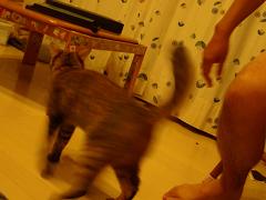 f0081594_9151738.jpg