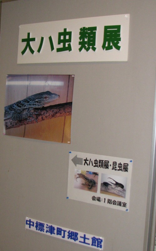 f0020302_12265955.jpg