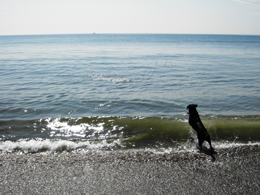 f0034602_1911628.jpg
