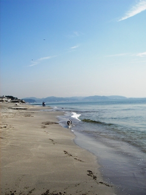 f0034602_1932546.jpg