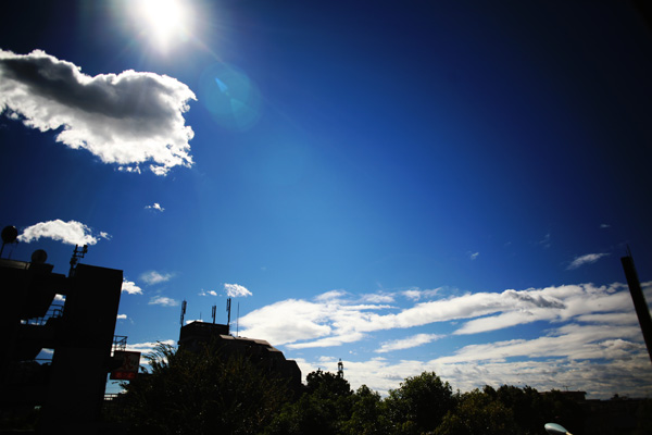 a0008508_2337059.jpg
