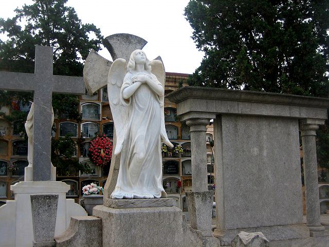 b0064411_20431916.jpg