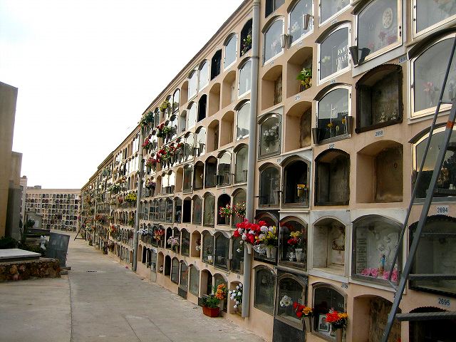 b0064411_20464481.jpg