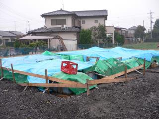 f0054411_012144.jpg